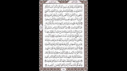 القرآن الكريم بصوت الشيخ سعد الغامدى صفحات صفحة رقم ( 24 )