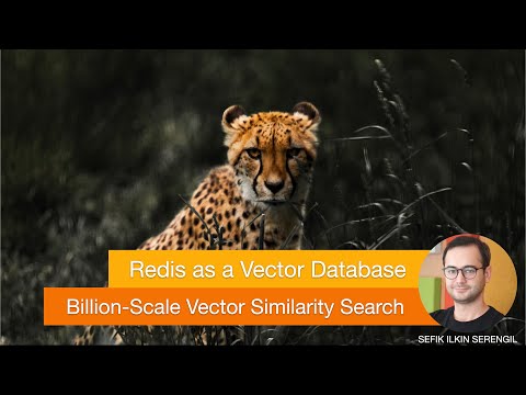 Redis As A Vector Database: Billion-Scale Fast Vector Similarity Search with RediSearch