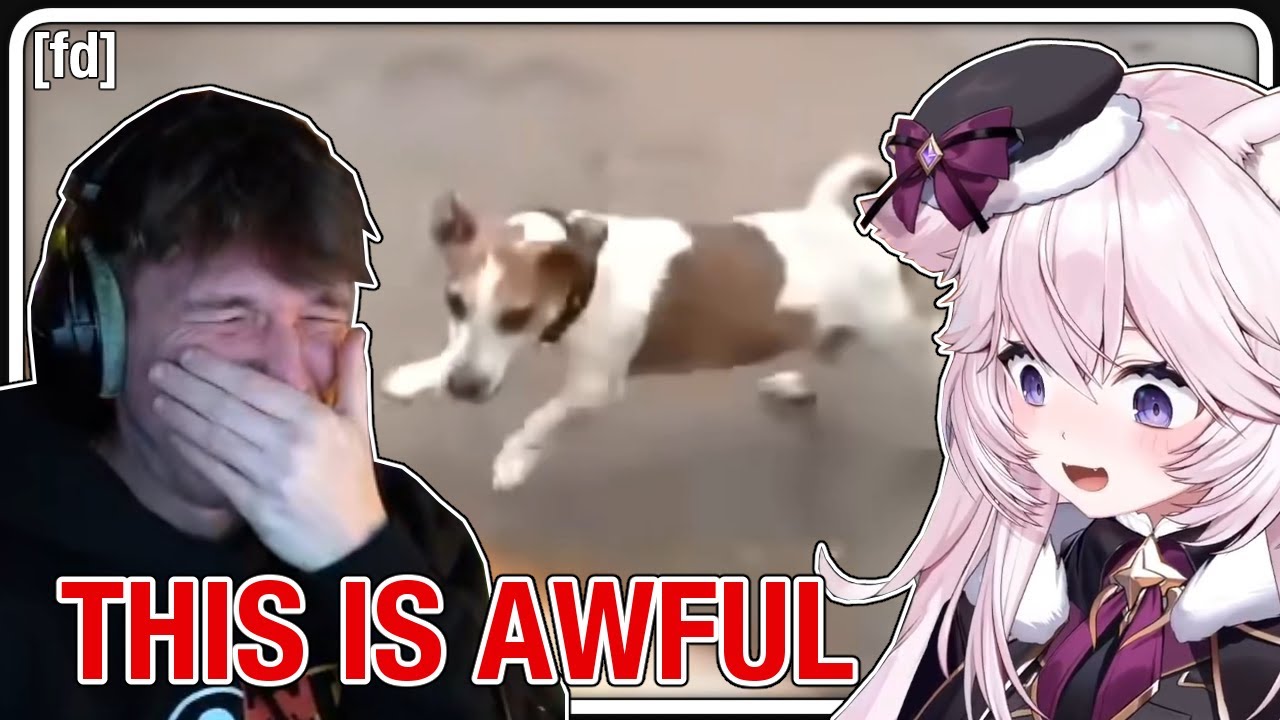 Aethel & Nyan Laugh Hysterically At The Most INAPPROPRIATE Thing