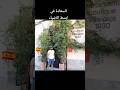 دمج الحضارات في مكان واحد #اسبانيا #غرناطة #أليكانتي # alicante #غزة  #Valencia  #granada #iran