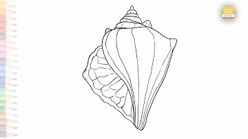 Conch shells drawings easy | Outline sketches | How to draw A Conch shell step by step | #artjanag