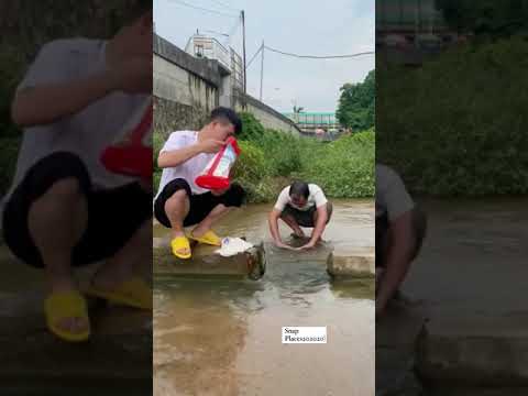 شكل الصنف فاخر