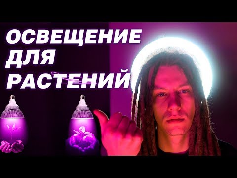 Фитолампы для рассады 💡 Зачем нужен фитосвет 💡 Какая фитолампа лучше подойдет именно вам?