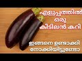     dahi baingan kerala style  easy brinjal recipe travelwithg123