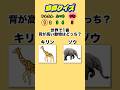 【動物クイズ】あなたはわかる?正しい方を当てて!#クイズ#動物クイズ#小学生