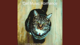 Modish Backdrops for Resting Cats