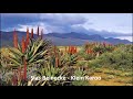 Sias Reinecke - Kleine Karoo