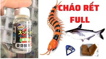 Cách làm mồi câu cháo rết câu cá tra | Cách làm mồi câu cháo rết đơn giản 2022 | BenBen Go