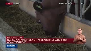 Шаруалар 8 Айдан Бері Сүтке Берілетін Субсидияны Ала Алмай Отыр