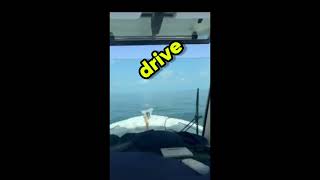 Bunnab Bunna Summa Ocean Ride Pov