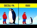 Fatti Curiosi Che ti Faranno Dire "Ma è Davvero Così?"