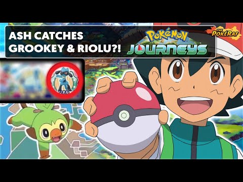 ash-gets-grookey-and-riolu-leaked?!-ash's-new-pokémon-in-pokémon-2019/pocket-monsters