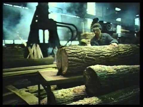 Arab gey porno videolar