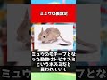【ポケモン】ミュウの裏設定#shorts