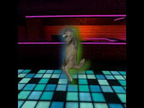 ｗｏｌｆ　ｄａｎｃｅ．ｍｐ４