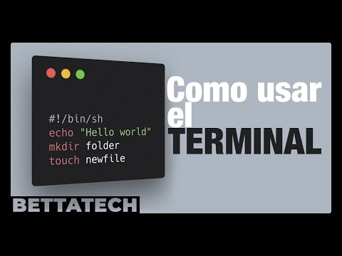 Cómo utilizar la TERMINAL | Comandos básicos de BASH