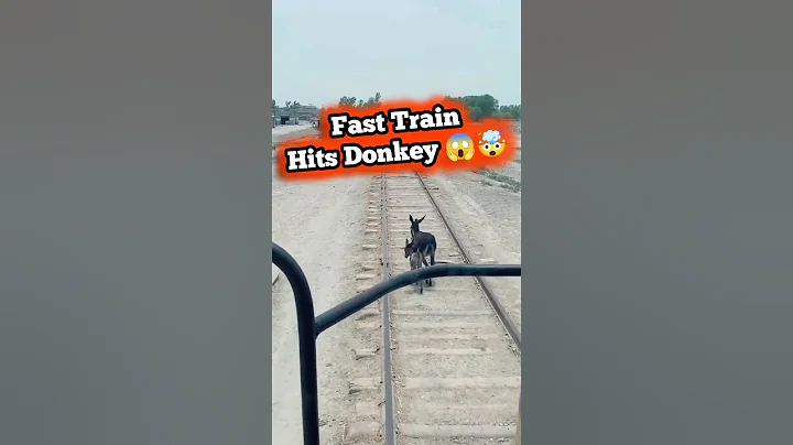 Train Hits Donkey 😱 #viralvideo #shorts #shortsvideo #train #hits #donkey #😱