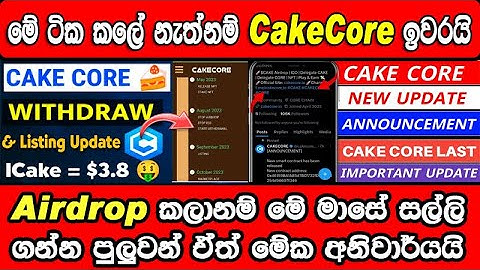 CakeCore Update about Old to New Coin Convert by Delegate | CakeCORE Token Conversion Proces Sinhala