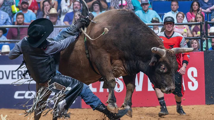 Jane Goble Rodeo