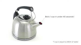 K65 Anniversary Kettle (Brushed) 360 - 25860 | Russell Hobbs