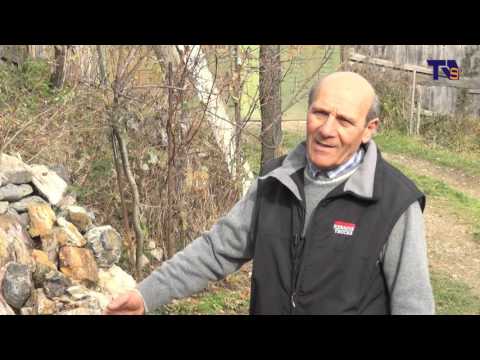 მესხეთის სიმდიდრის მცველი – უნიკალური ნიმუშების კოლექციონერი ადიგენიდან