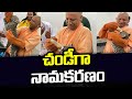 UP CM Yogi Adityanath feeds leopard cub, video wins hearts