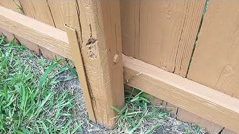 Repair a Wobbly Fence Post