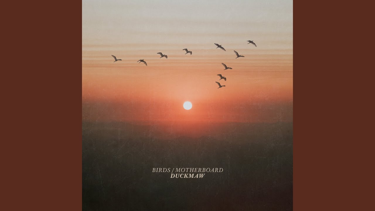 Watch Birds on YouTube Watch Birds on YouTube