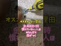 壁の支持材‼️下地がいない時はボードアンカー　#電気工事 #40歳からの電気工事 #tomidenlabo