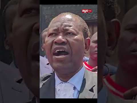 TUNDU LISSU AOMBA MAHAKAMA KUTAMKA KESI YAKE KUWA NI BATILI NA IMUACHIE HURU WAKILI RUGEMELEZA