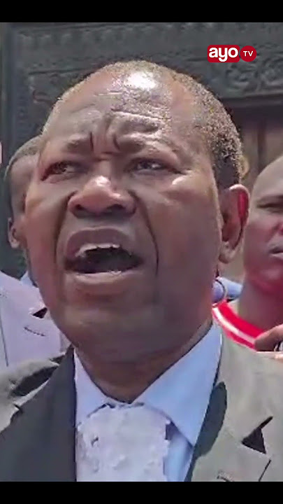 TUNDU LISSU AOMBA MAHAKAMA KUTAMKA KESI YAKE KUWA NI BATILI NA IMUACHIE HURU -WAKILI RUGEMELEZA