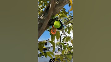 Use Phone Find My Key, Use Key Finder find Phone