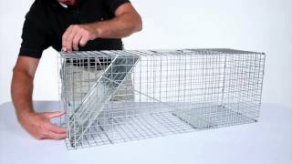 How to Set: Havahart® Large 1Door Trap Model #1079 for Raccoons, Cats, Groundhogs and Opossums