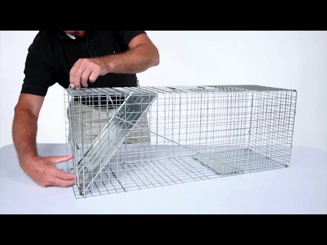 24'' Live Animal Trap Cage Skunks Squirrels Raccoons Small Game Rats