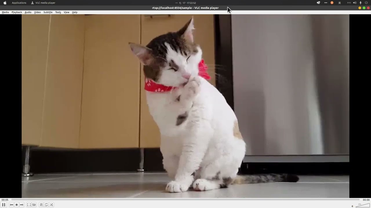 RTSP4K: generate RTSP in simple way