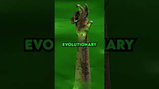 What if the Bombs Never Dropped in Fallout?