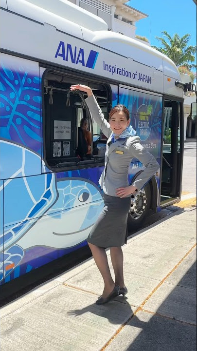 Shall we go with you?🌺🐢#allnipponairways #hawaii #honu #flyinghonu #honolulu #waikiki