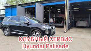 Hyundai Palisade Korea vs JapanBus