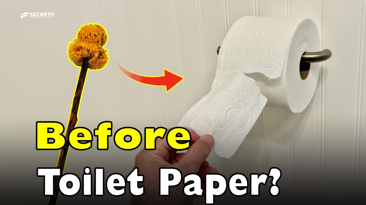 What Did People Use Before Toilet Paper? The Hidden Reason It Became ...