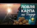 Ловля КАРПА на ФИДЕР! Рыбалка в Беларуси 2020. 18+