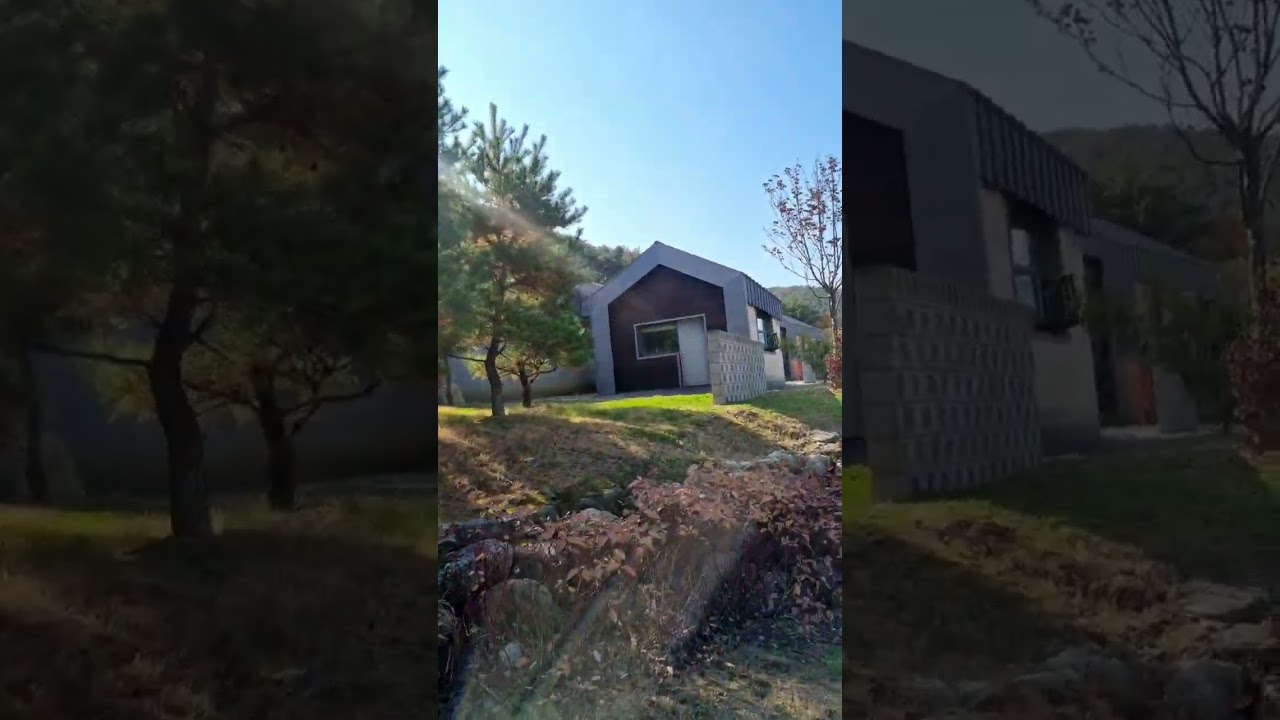 단양 최고 숙소! 소백산 자연휴양림 정감록 😍휴양림계의 명품😍소백산에서의 하룻밤