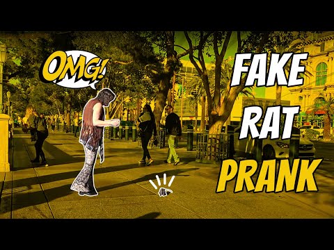 fake-rat-prank-|-las-vegas-edition