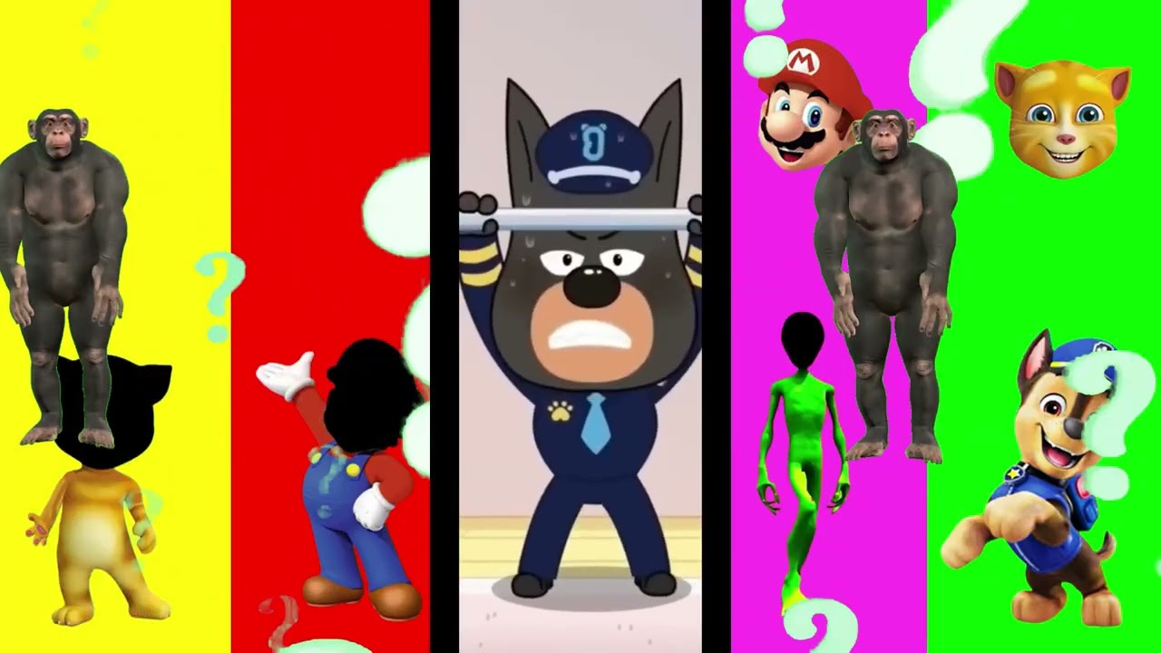 Wrong eyes👀 NEW EPISODES/ Sheriff Labrador x Rocky & BabyBoss Puzzle Wrong HeadsEYE PUZZLE WORLD