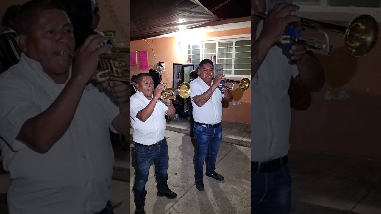 Banda Tradicional 