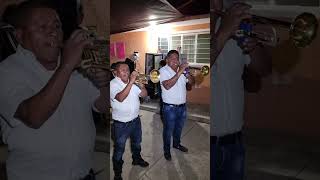 Banda Tradicional "Los Alvarado" de Sahuatlan Oaxaca en San Miguel Papalutla Oaxaca.