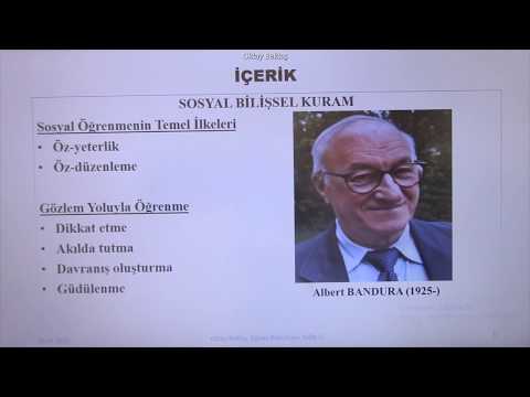 Video: Sosyal bilişsel teori hakkında bazı temel varsayımlar nelerdir?