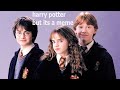 harry potter but its a meme