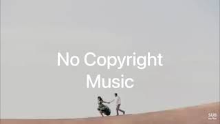 Roa - Moonlight (Vlog No Copyright Music)