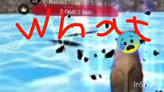 panther Online screenshot 2