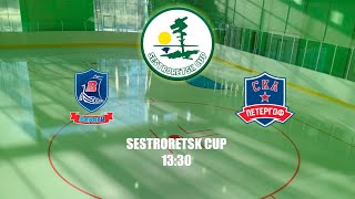 SESTRORETSK CUP • ХК СКА Варяги13 - ХК СКА Петергоф (04.05.2024)